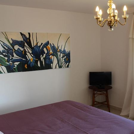 Bellevue Bed and Breakfast Saint-Paterne-Racan Εξωτερικό φωτογραφία
