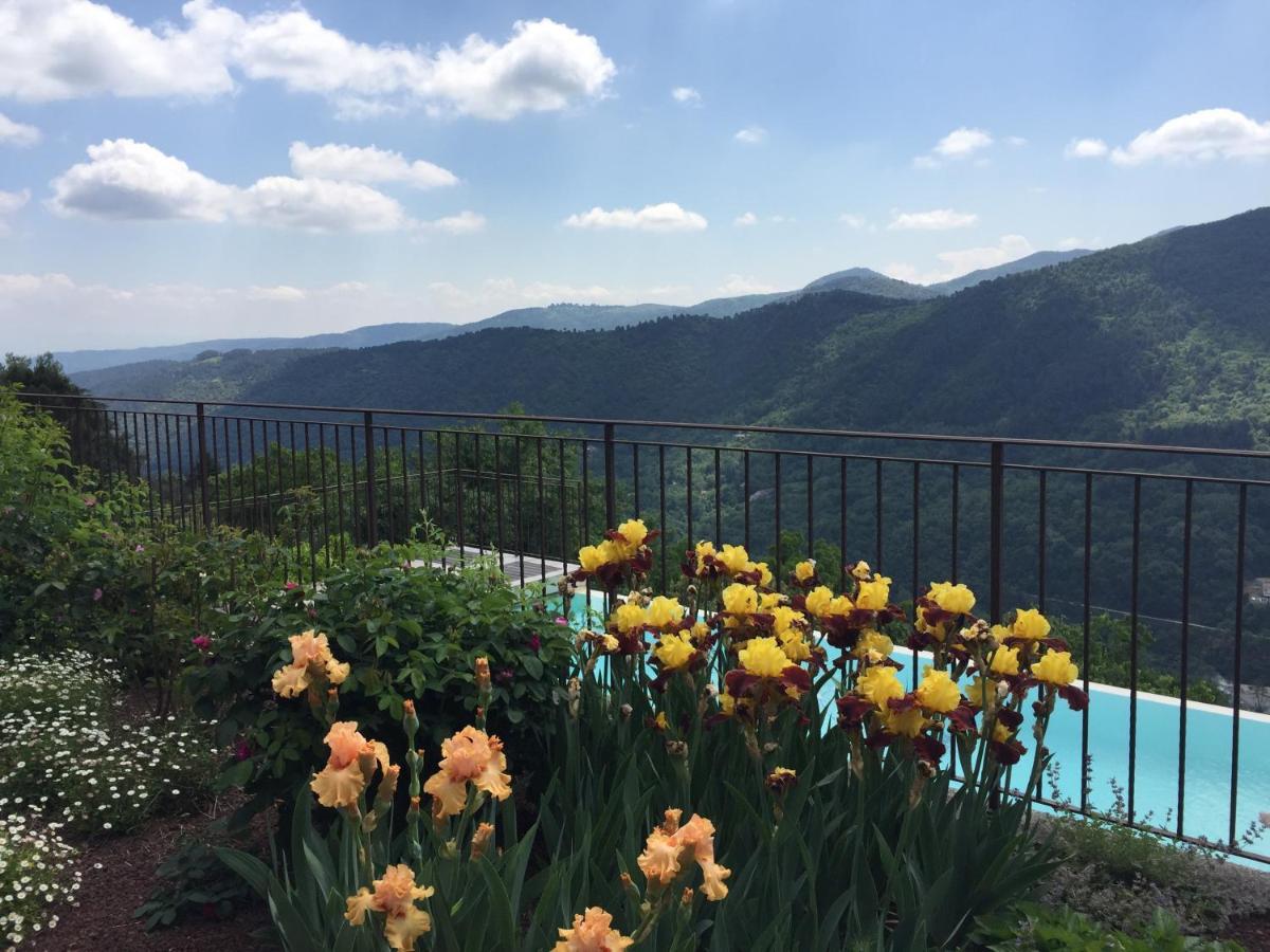 Bellevue Bed and Breakfast Saint-Paterne-Racan Εξωτερικό φωτογραφία