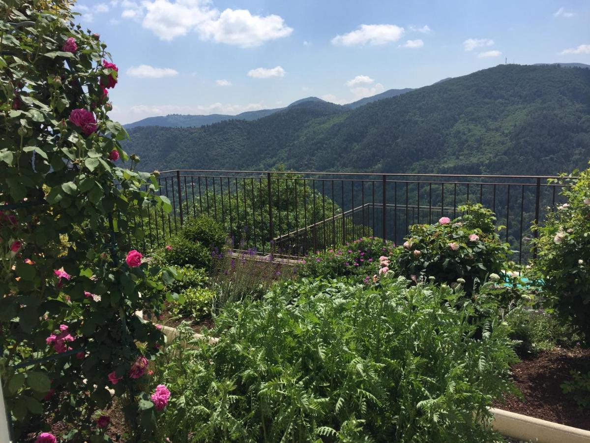 Bellevue Bed and Breakfast Saint-Paterne-Racan Εξωτερικό φωτογραφία