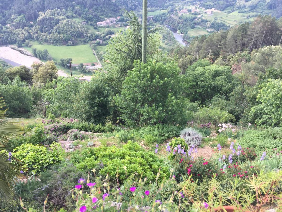 Bellevue Bed and Breakfast Saint-Paterne-Racan Εξωτερικό φωτογραφία